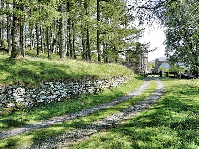 The Tree-Lined Driveway to Hywel Sele Lodge